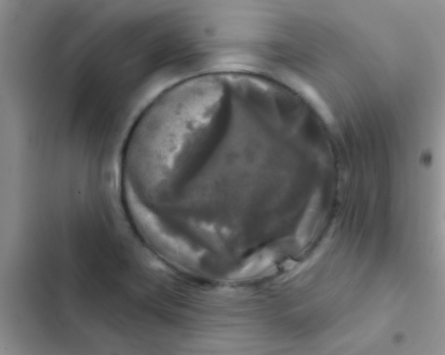 X0000102541419200808221918