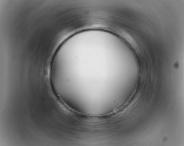 X0000102541420200808221918