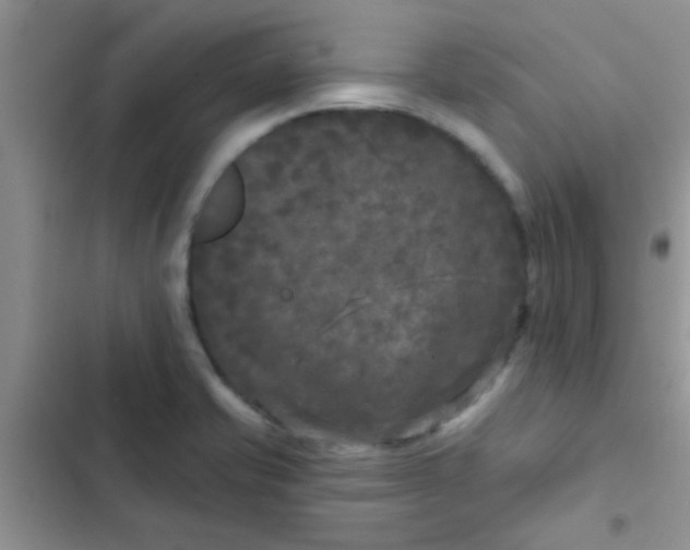 X0000102541421200808221918