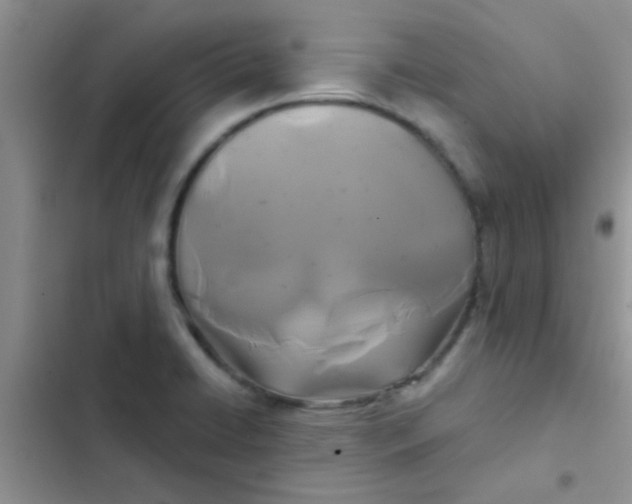 X0000102541422200808221918