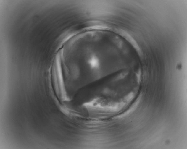X0000102541425200808221918