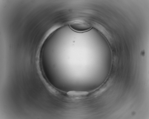 X0000102541426200808221918