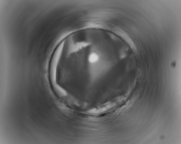 X0000102541427200808221918