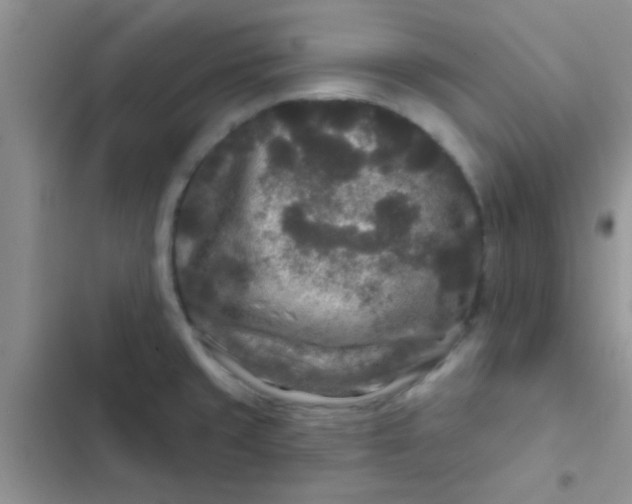 X0000102541429200808221919