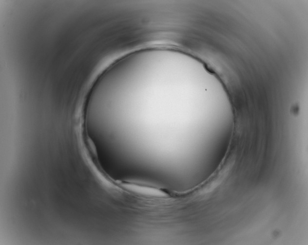 X0000102541430200808221919