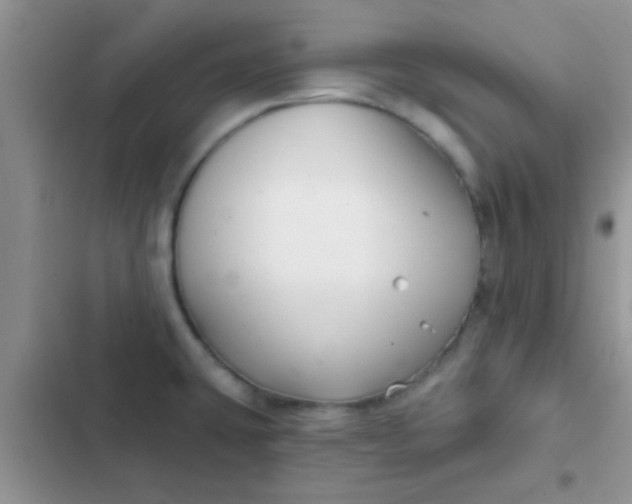 X0000102541431200808221919