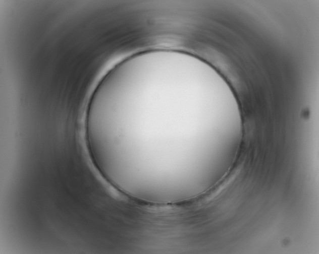 X0000102541432200808221919
