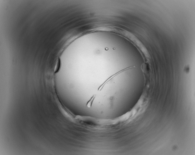 X0000102541433200808221919