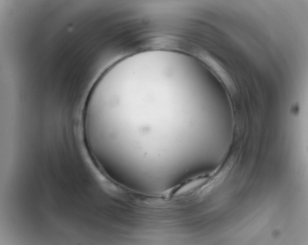 X0000102541434200808221919