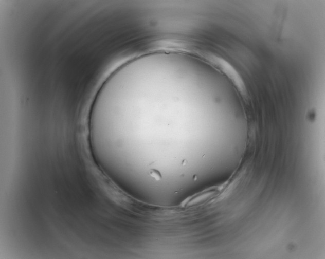 X0000102541435200808221919