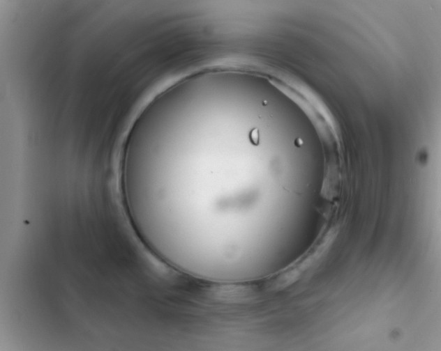 X0000102541437200808221919
