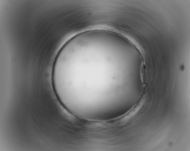 X0000102541438200808221919