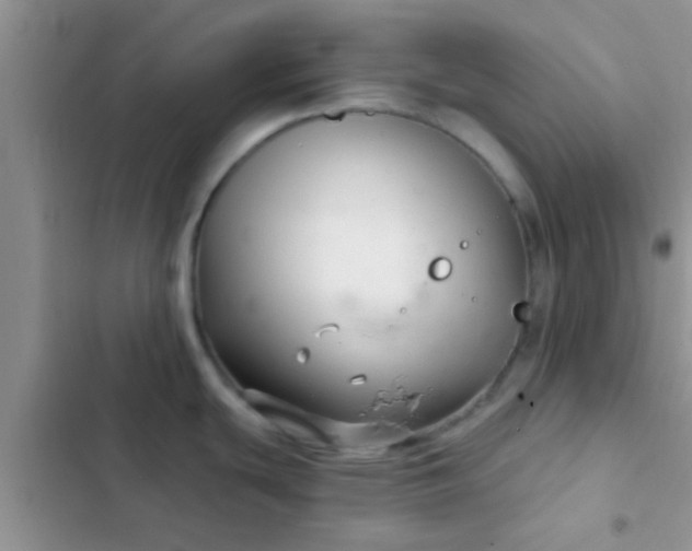 X0000102541439200808221919