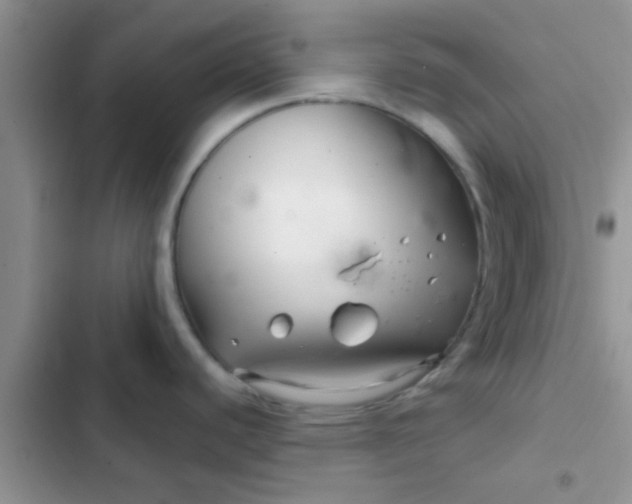 X0000102541440200808221919