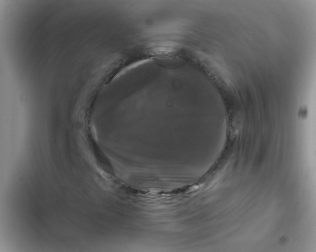 X0000102541441200808221918