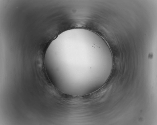 X0000102541442200808221918