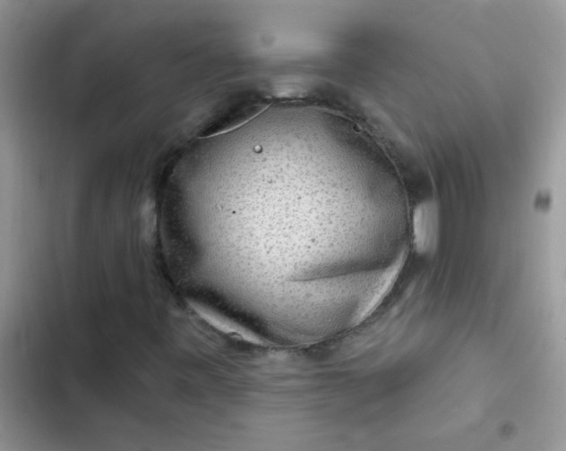 X0000102541443200808221918