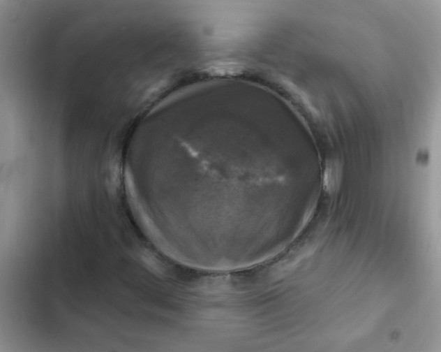 X0000102541444200808221918