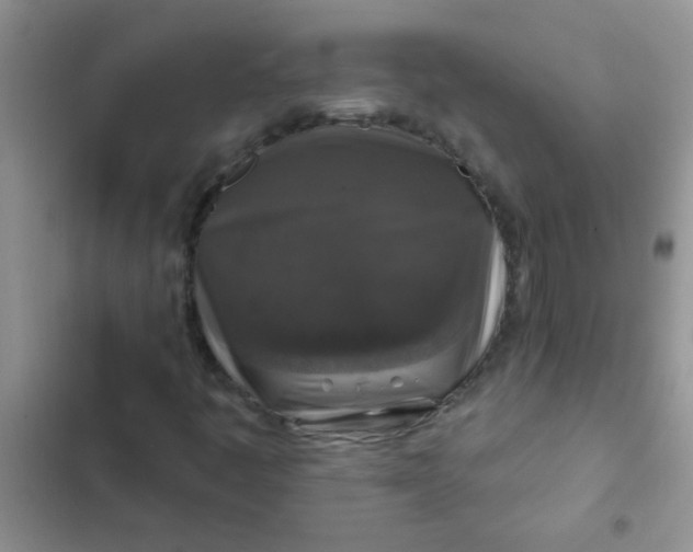 X0000102541445200808221918