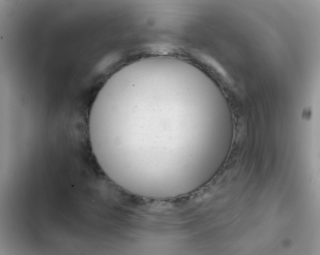X0000102541446200808221918