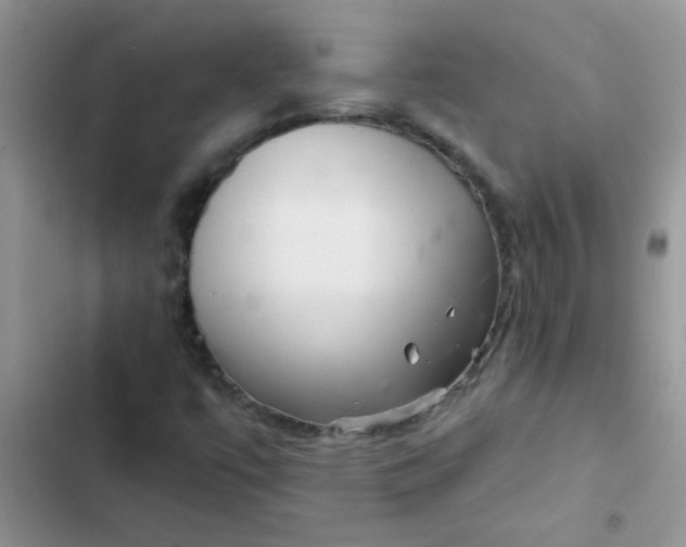 X0000102541447200808221918