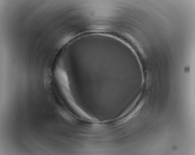 X0000102541449200808221918