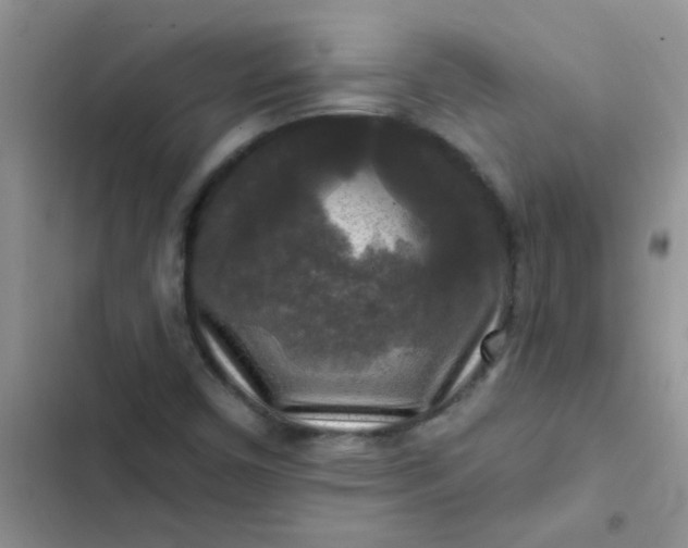 X0000102541450200808221918