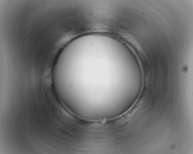 X0000102541451200808221918