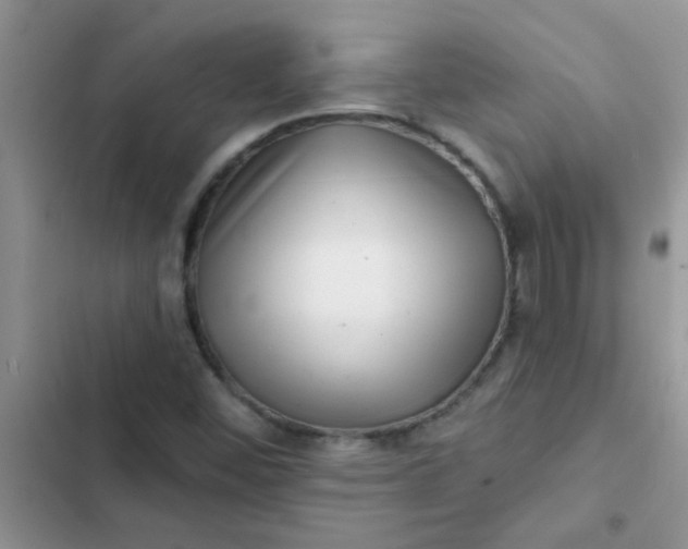 X0000102541452200808221918