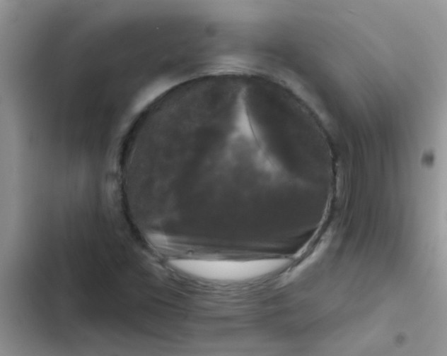 X0000102541453200808221918