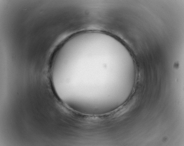 X0000102541454200808221918