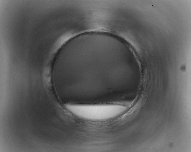 X0000102541455200808221918