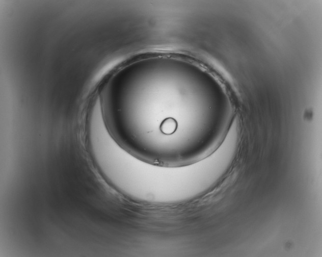 X0000102541456200808221918