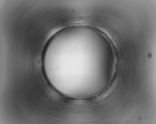 X0000102541458200808221918