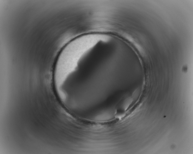 X0000102541459200808221918