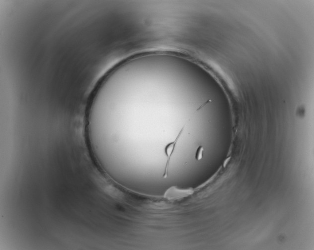 X0000102541460200808221918