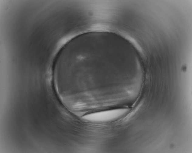 X0000102541461200808221918