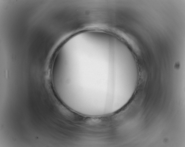 X0000102541462200808221918
