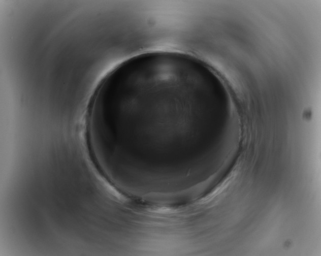 X0000102541463200808221918