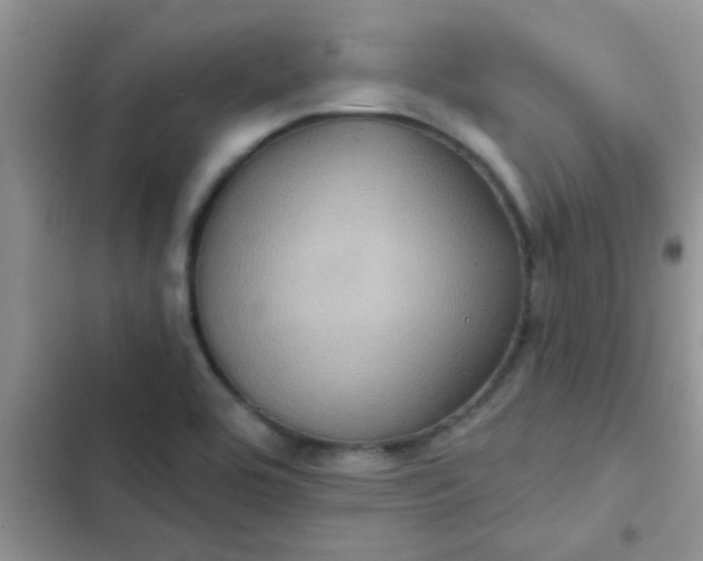 X0000102541464200808221918