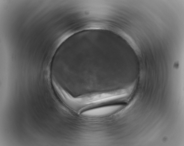 X0000102541465200808221918