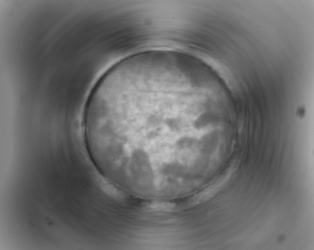 X0000102541466200808221917