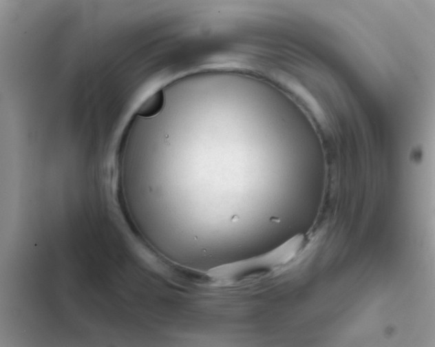 X0000102541467200808221917