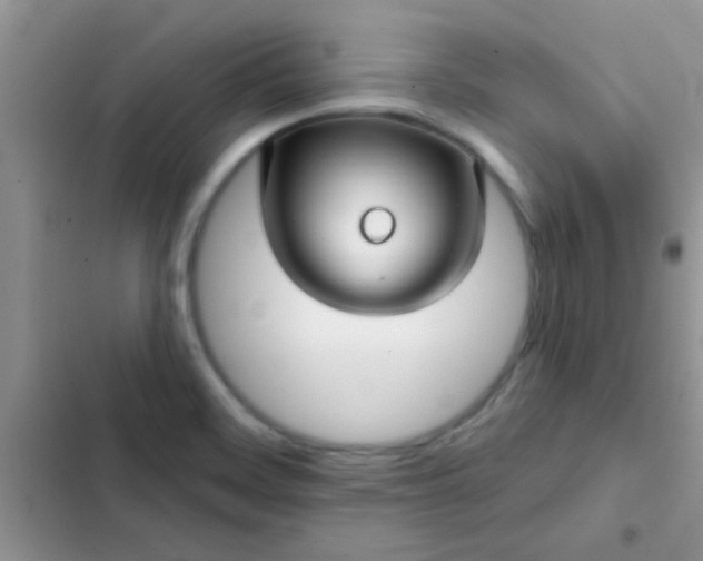 X0000102541468200808221917