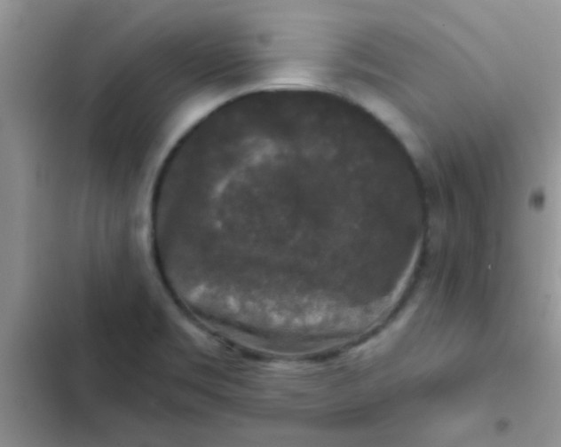 X0000102541469200808221917