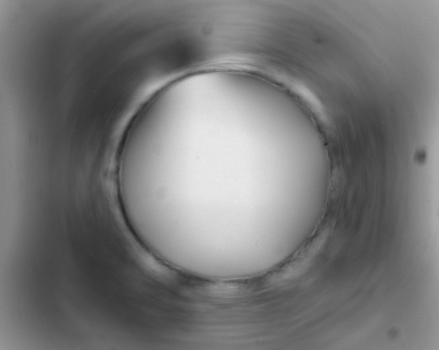 X0000102541470200808221917