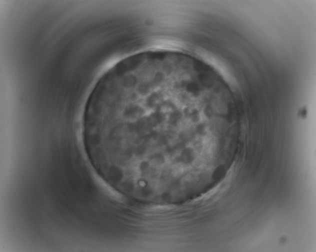 X0000102541471200808221917