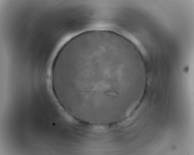 X0000102541472200808221917