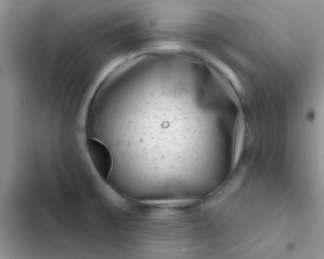 X0000102541475200808221917