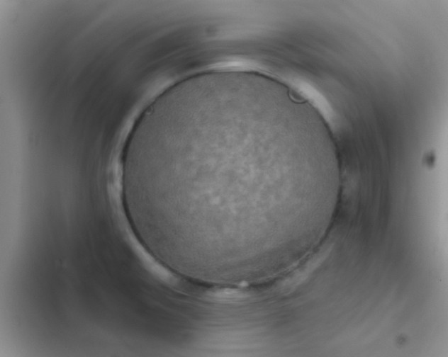 X0000102541476200808221917